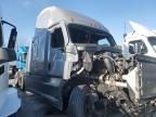 2024 Freightliner Cascadia 126