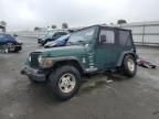 1999 Jeep Wrangler / TJ Sport