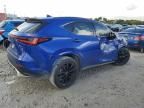 2024 Lexus NX 350 Luxury