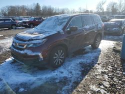 Salvage cars for sale at Chalfont, PA auction: 2020 Honda Pilot EXL