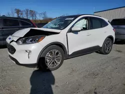 Salvage cars for sale at Spartanburg, SC auction: 2020 Ford Escape SEL