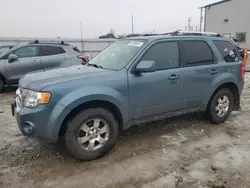 Salvage cars for sale at Appleton, WI auction: 2012 Ford Escape Limited