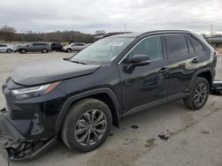 2024 Toyota Rav4 XLE Premium en venta en Lebanon, TN