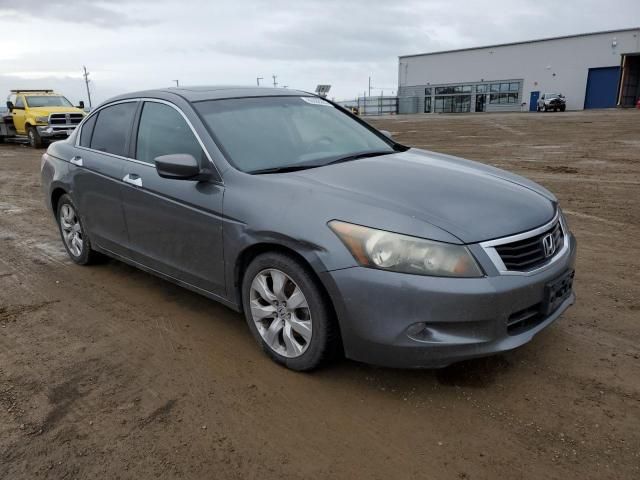 2010 Honda Accord EXL