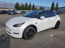 Salvage cars for sale at Rancho Cucamonga, CA auction: 2021 Tesla Model Y