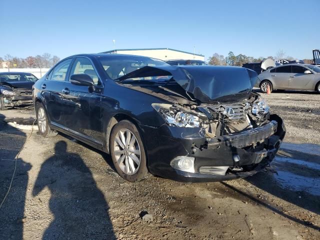 2010 Lexus ES 350