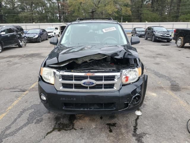 2009 Ford Escape XLT