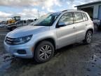 2015 Volkswagen Tiguan S