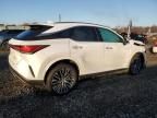 2024 Lexus RX 350H Base