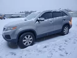 KIA Vehiculos salvage en venta: 2011 KIA Sorento Base