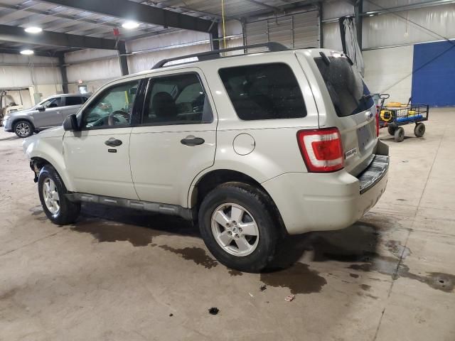 2009 Ford Escape XLT