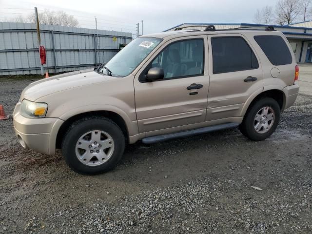 2007 Ford Escape XLT