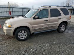 2007 Ford Escape XLT en venta en Arlington, WA