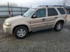 2007 Ford Escape XLT