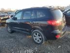 2007 Hyundai Santa FE SE