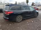 2021 Honda Odyssey EXL