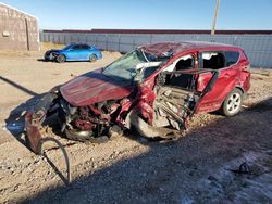 Salvage cars for sale at Rapid City, SD auction: 2015 Ford Escape SE