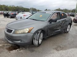 Salvage cars for sale at Apopka, FL auction: 2009 Honda Accord EXL