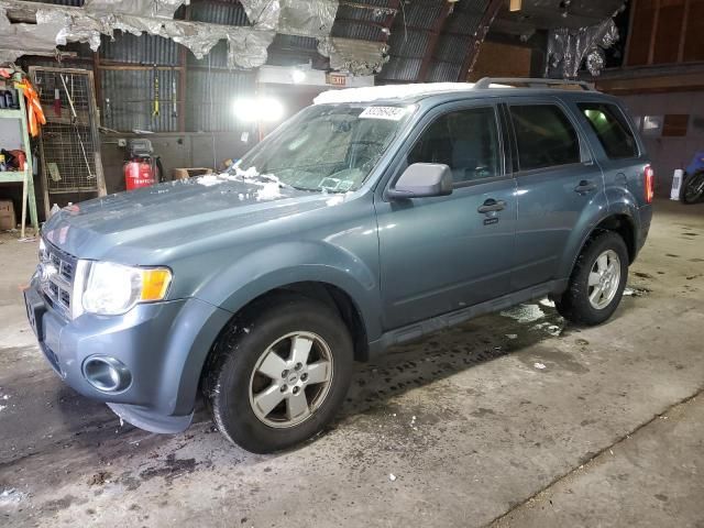 2011 Ford Escape XLT