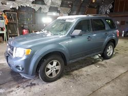 Ford Vehiculos salvage en venta: 2011 Ford Escape XLT