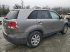 2011 KIA Sorento Base