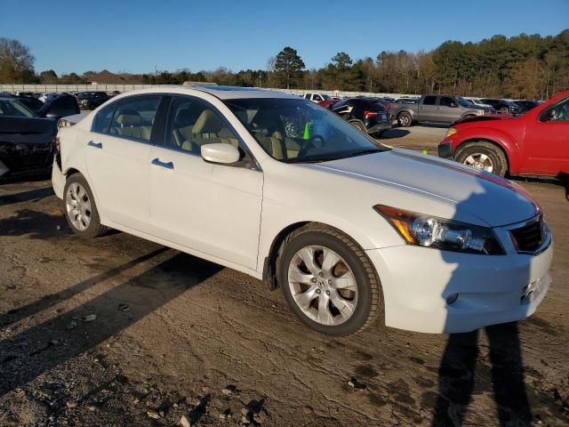 2010 Honda Accord EXL