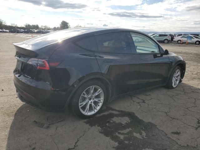 2020 Tesla Model Y