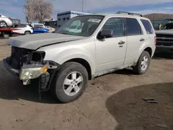 2009 Ford Escape XLT en venta en Albuquerque, NM