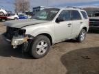 2009 Ford Escape XLT