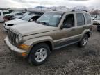 2005 Jeep Liberty Renegade