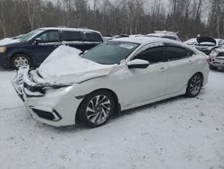 2020 Honda Civic EX en venta en Cookstown, ON