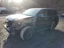 Salvage cars for sale at Marlboro, NY auction: 2021 Lexus GX 460 Premium