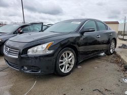 Salvage cars for sale at Louisville, KY auction: 2011 Nissan Maxima S