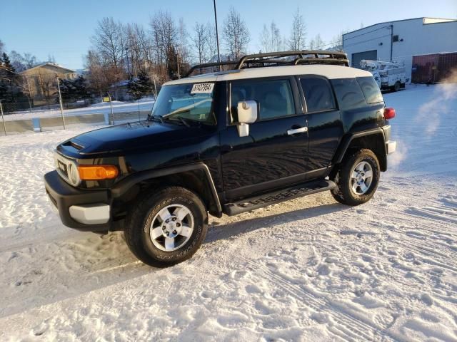 2010 Toyota FJ Cruiser