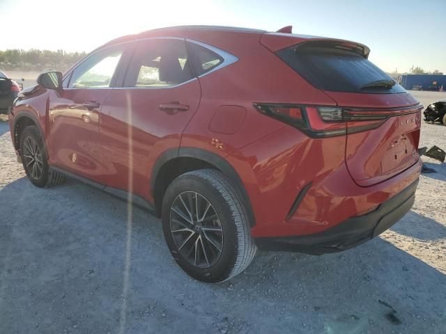 2023 Lexus NX 250