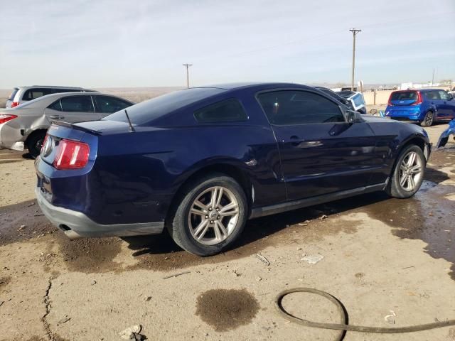 2010 Ford Mustang