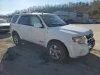 2008 Ford Escape Limited