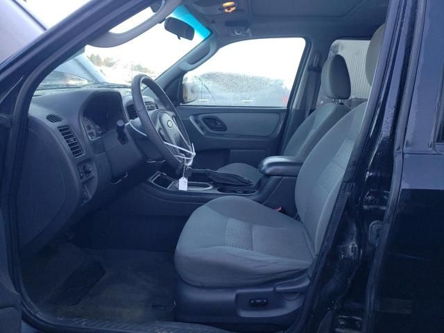 2007 Ford Escape XLT