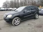 2007 Mercedes-Benz ML 500