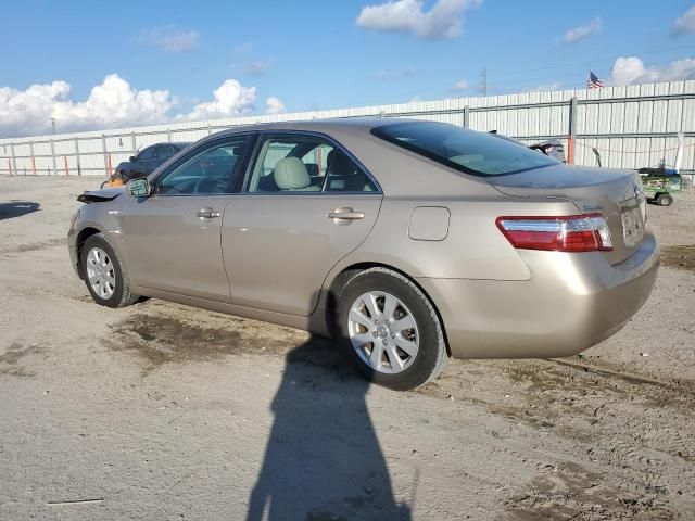 2009 Toyota Camry Hybrid