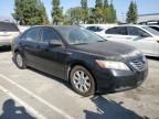 2008 Toyota Camry Hybrid