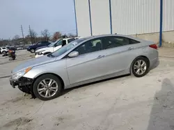 Salvage cars for sale at Lawrenceburg, KY auction: 2013 Hyundai Sonata SE