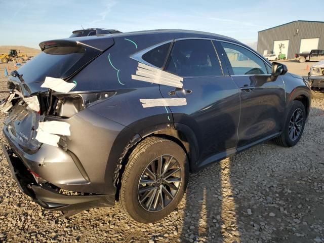 2024 Lexus NX 350H Base