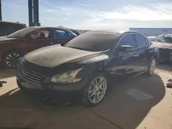 Salvage cars for sale at Phoenix, AZ auction: 2011 Nissan Maxima S