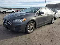 Salvage cars for sale at Fredericksburg, VA auction: 2019 Ford Fusion SE