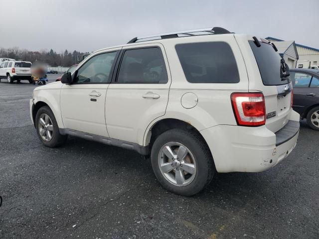 2011 Ford Escape Limited