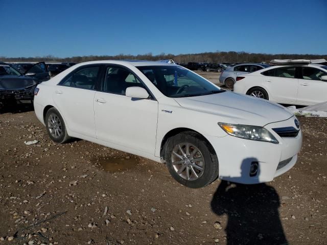 2011 Toyota Camry Hybrid