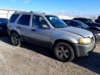 2005 Ford Escape XLT