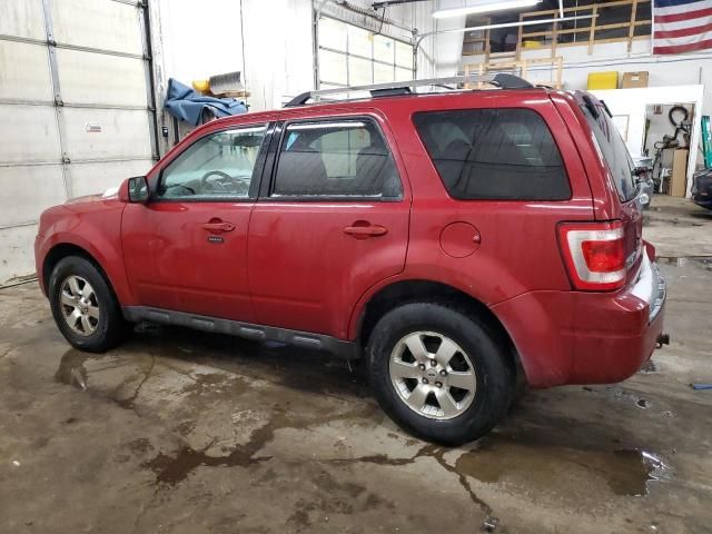 2011 Ford Escape Limited