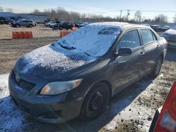 Toyota Corolla Base salvage cars for sale: 2010 Toyota Corolla Base